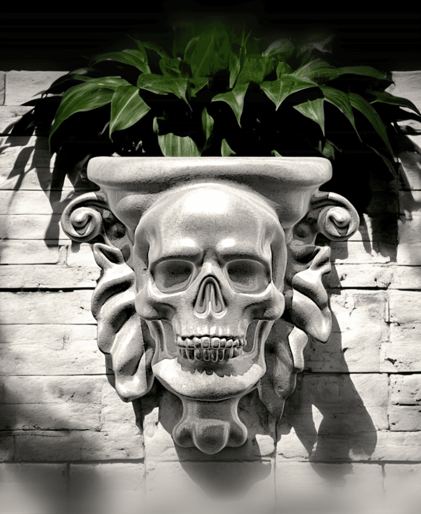 SKULL WALL POT 3d model