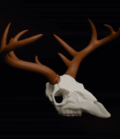 Deer Skull (MysticMesh3D) 3d model