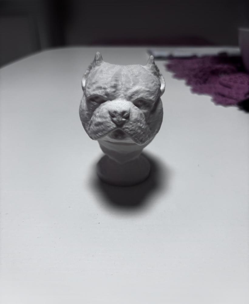 Pitbull head bust 3d model