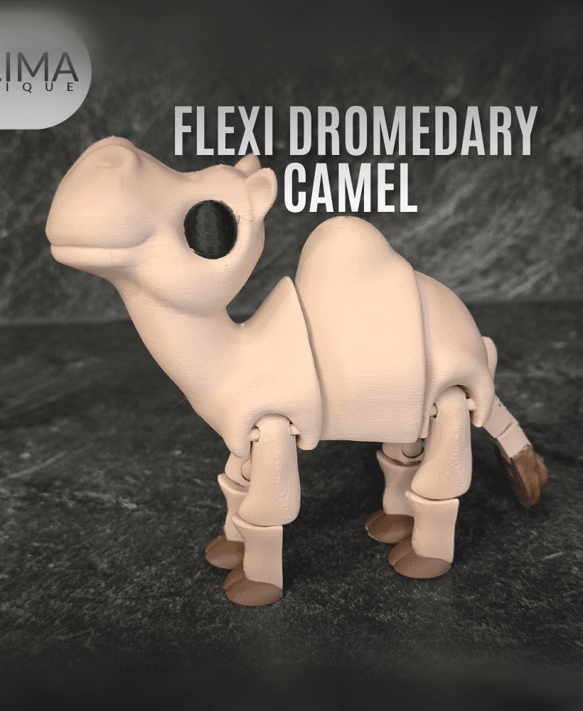 Flexi Dromedary Camel 3d model