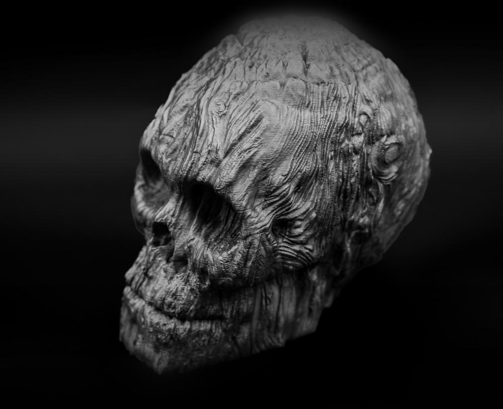 Forest Spirit Skull 3d model