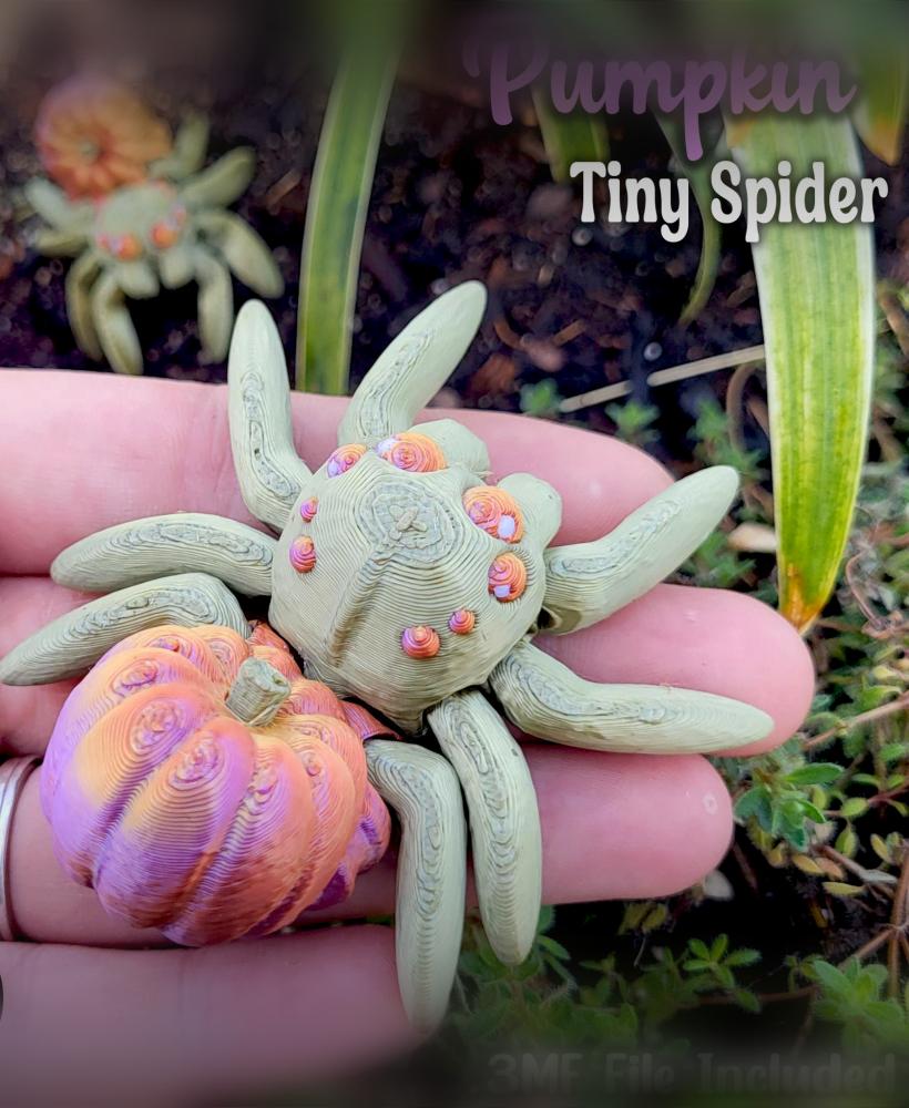 Tiny Pumpkin Spider 3d model