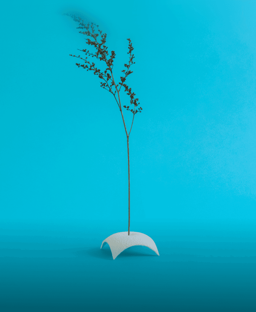 Fovea // Dried Plant Holder 3d model