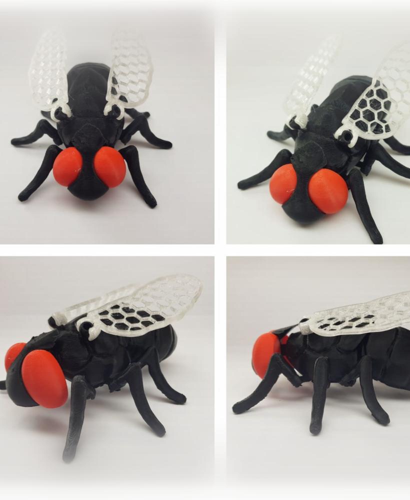 Articulated Fly  3d model