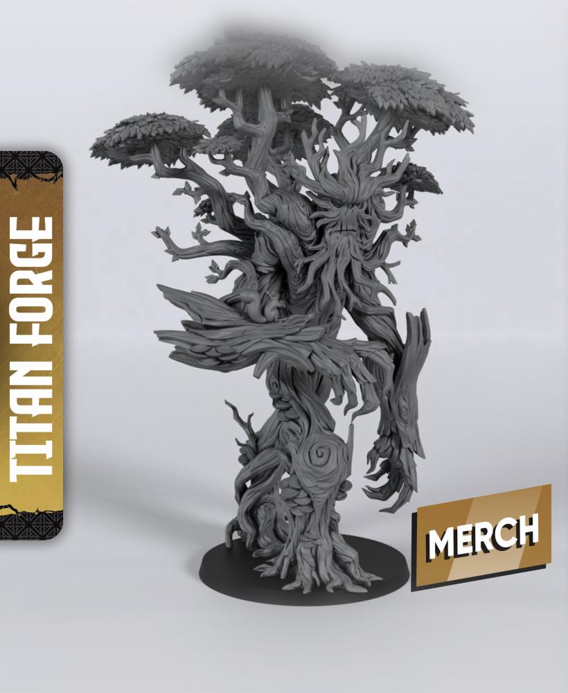 Treefather - With Free Dragon Warhammer - 5e DnD Inspired for RPG and Wargamers 3d model