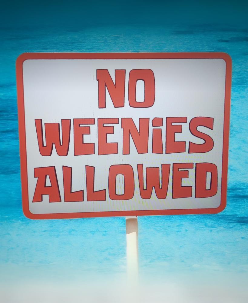 No Weenies Allowed  3d model