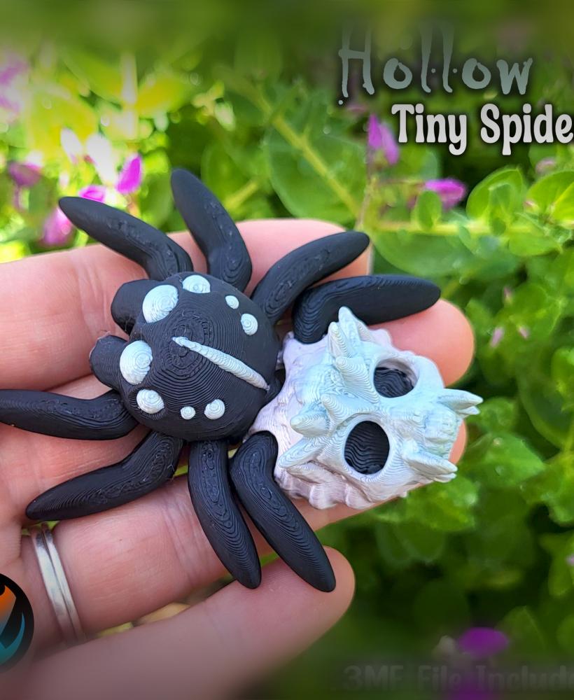 Tiny Hollow Spider 3d model