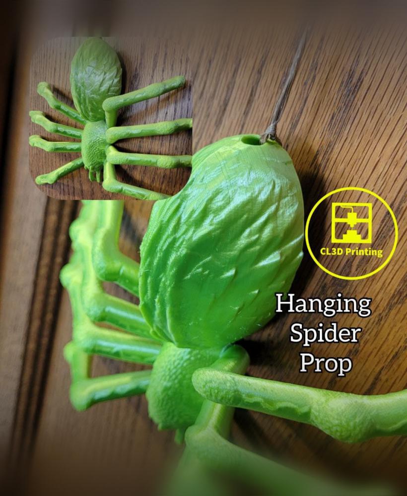 Hanging Spider 3d model