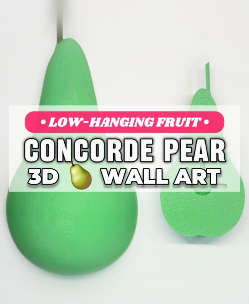 Jumbo Concorde Pear Decorative Pop-Out 3D Wall Art :: The 'Low-Hanging Fruit' Collection 3d model