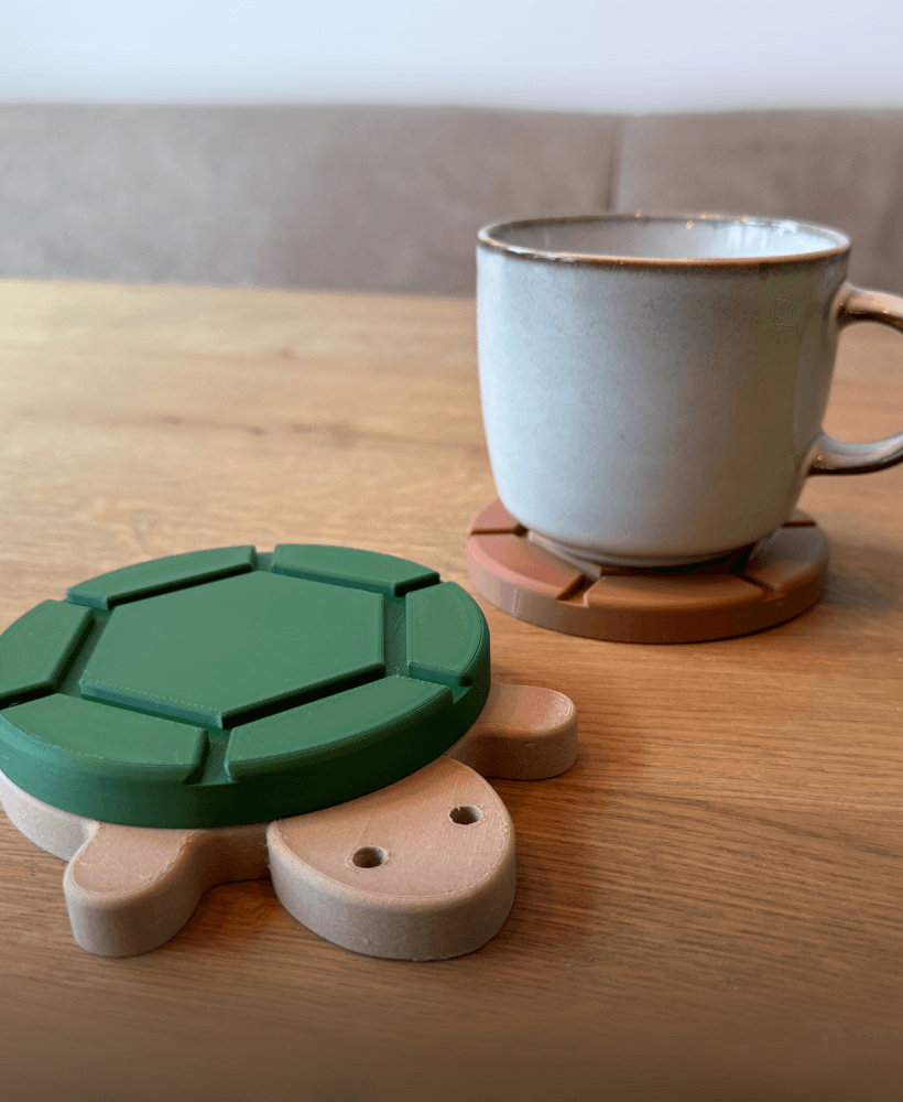 Turtle Coaster 3d model