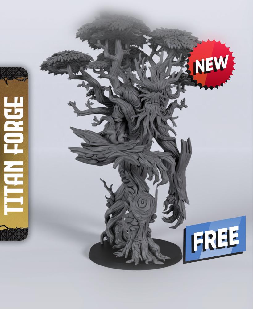 Treefather - With Free Dragon Warhammer - 5e DnD Inspired for RPG and Wargamers 3d model
