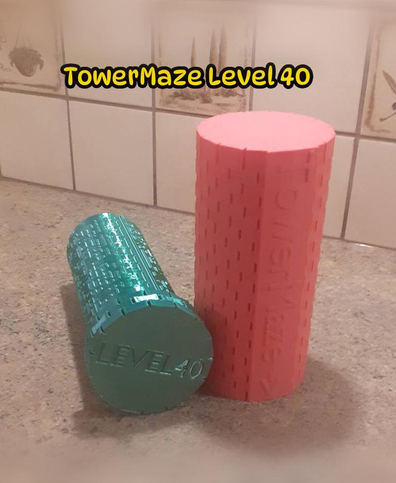 TowerMaze Level 40 3d model