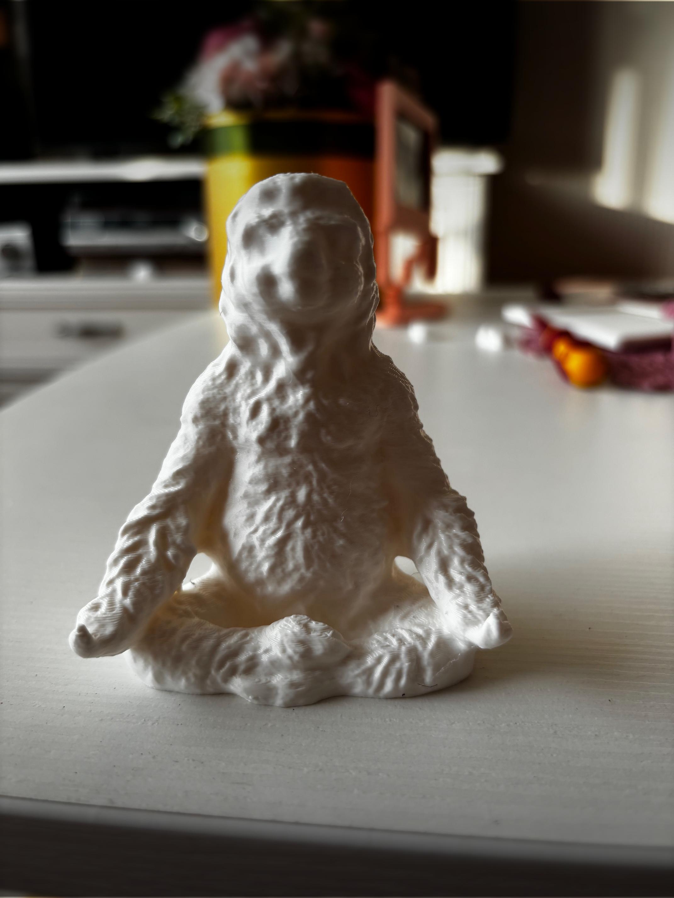 Cute sloth meditation 3d model