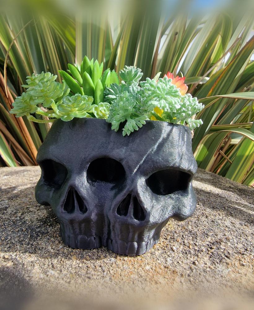 Twin Skull Planter and Pot 3d model