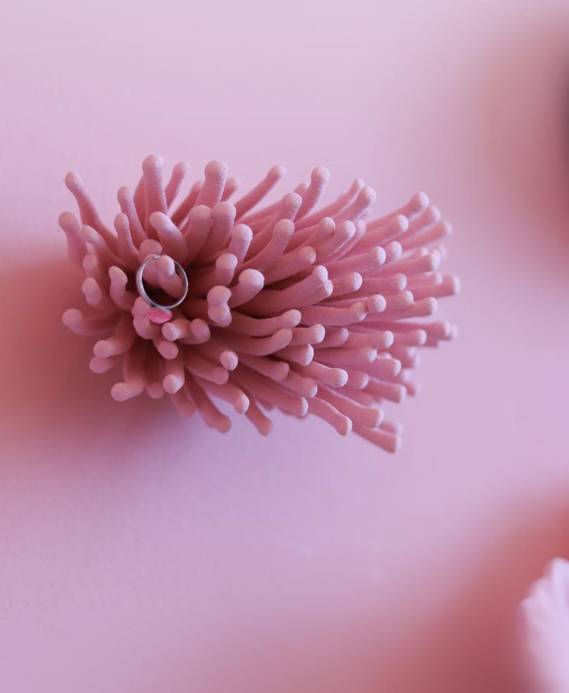 Anemone | Wall Mounted 3d model