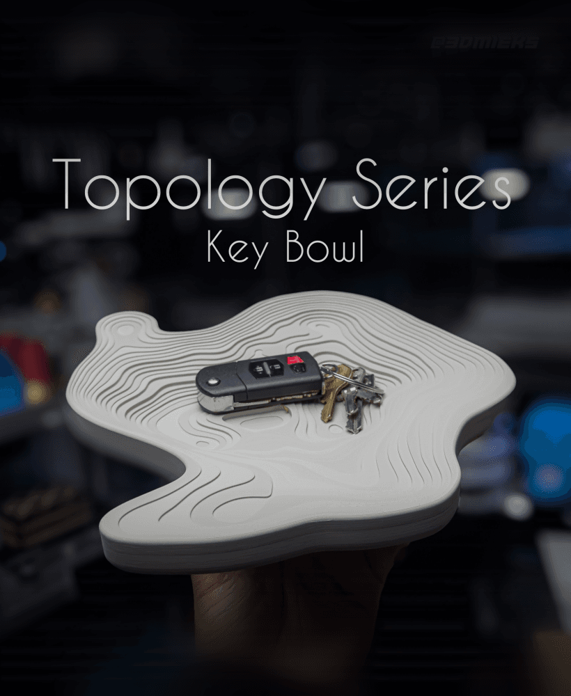 Topology Series - Key Bowl 3d model