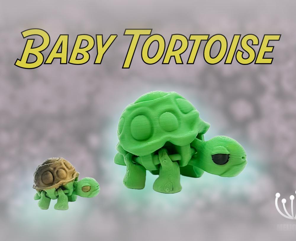 M3D - BabyTortoise 3d model