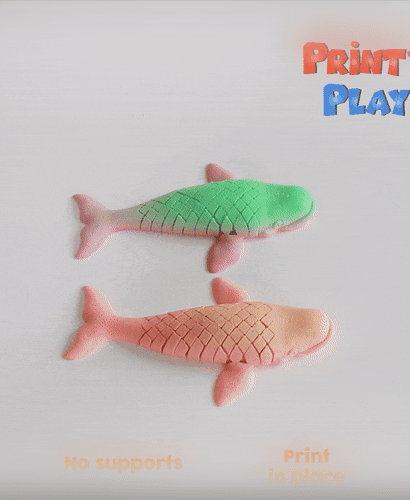 Flexi Beluga 3d model