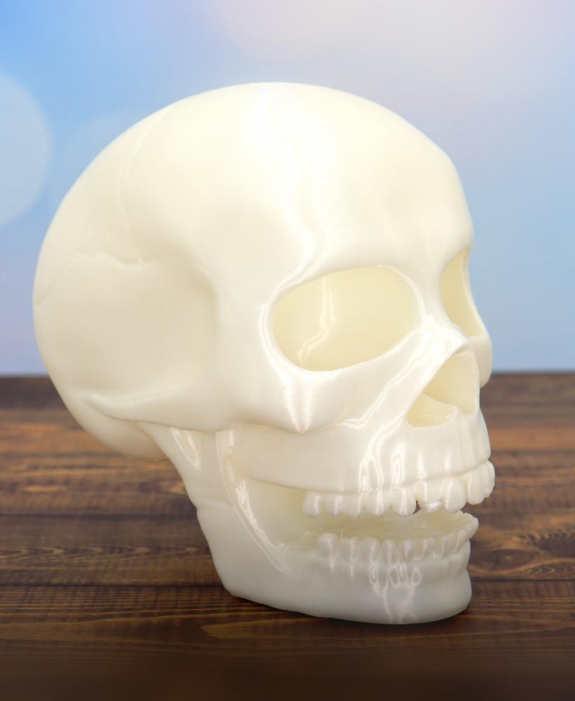 Spooky Skull Halloween decor 3d model