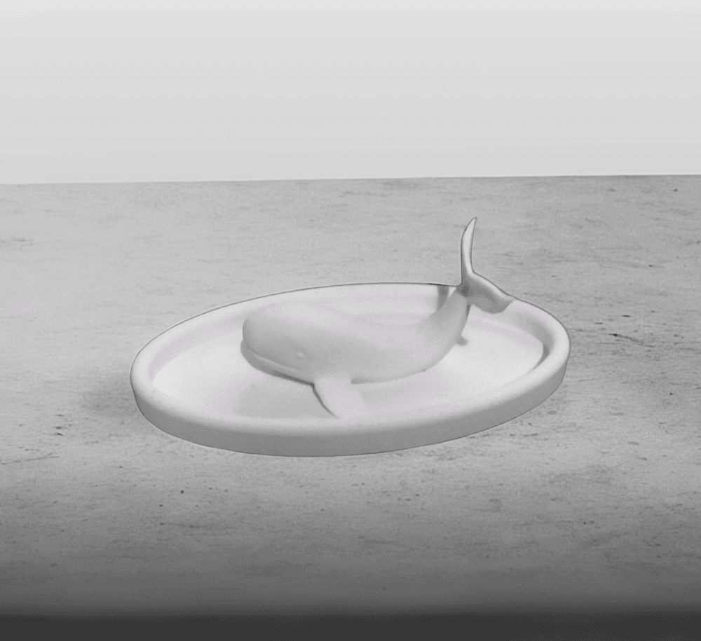 WHALE TRAY 001 3d model