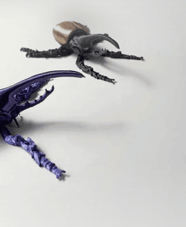 Hercules Beetle 3d model