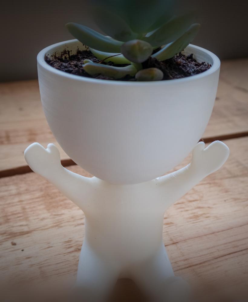 ROBERT PLANT POT CELEBRATING WITH OPEN ARMS 3d model