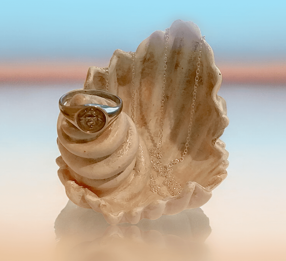 Sea Shell Jewelry Holder 3d model