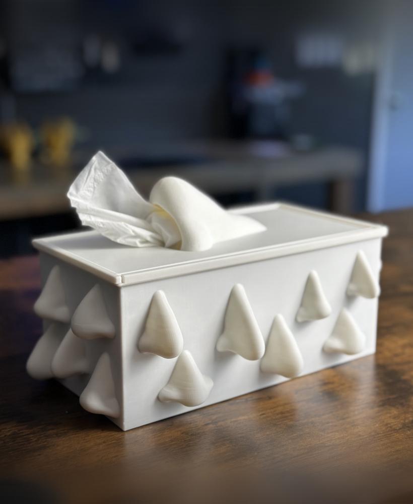 Nosey Tissue Box Holder 3d model