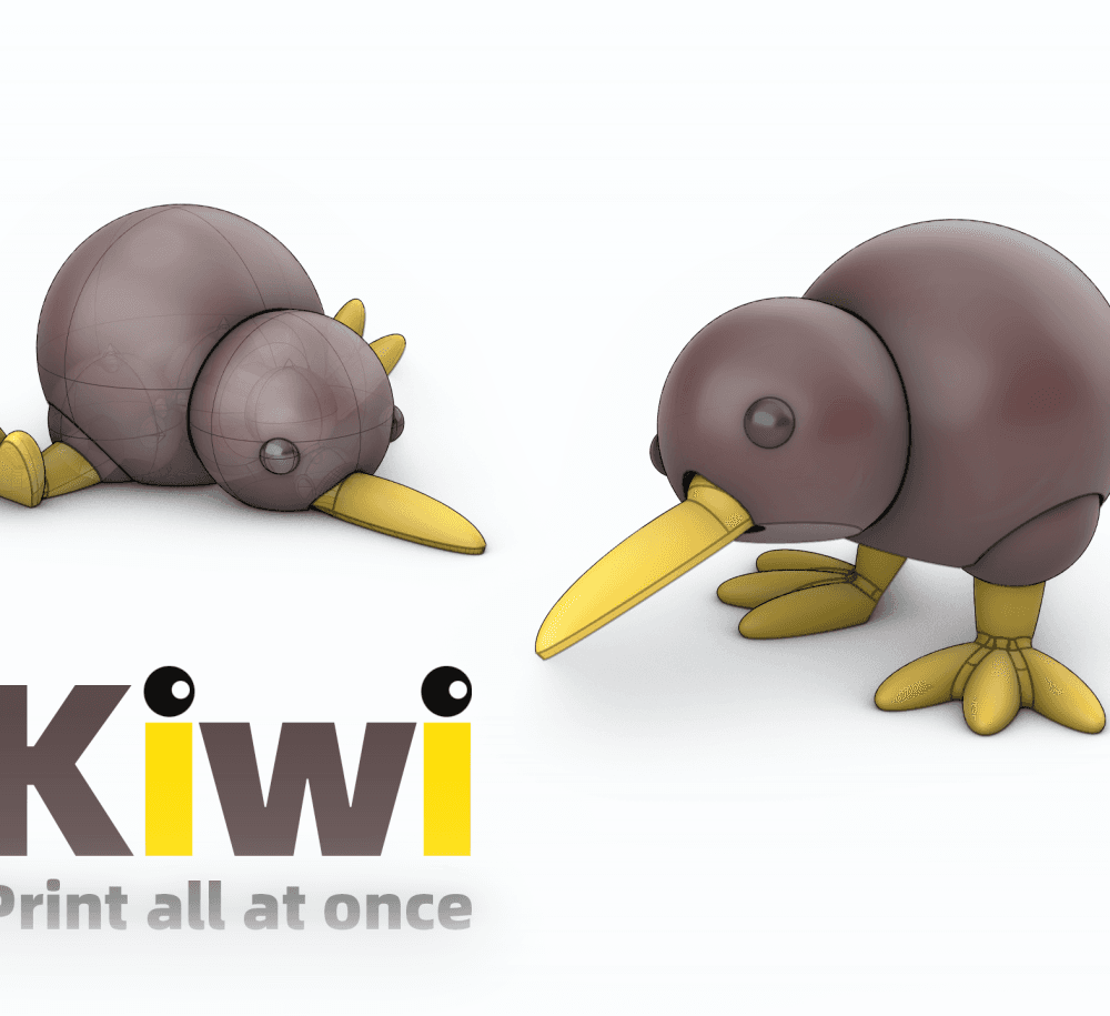 Kiwi 3d model