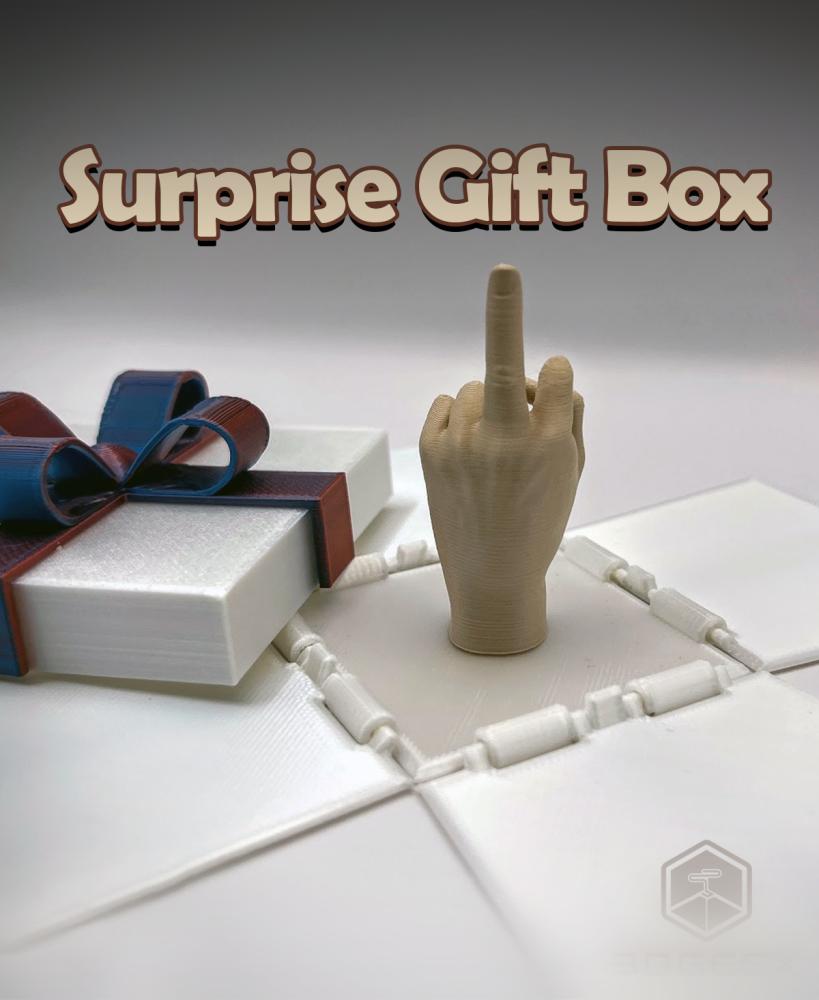 Surprise Gift Box 3d model