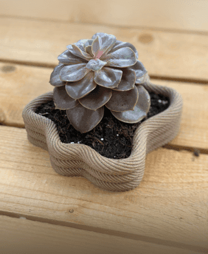 Rope succulent planter bowl 3d model