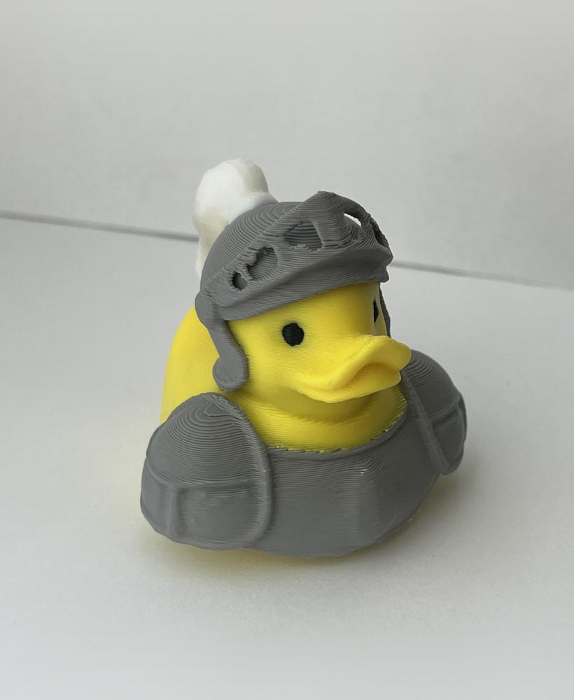 Knight Duck 3d model