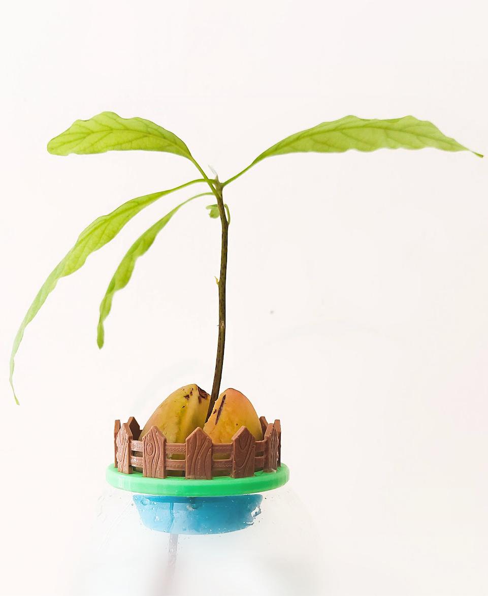 Mini Avocado Garden 3d model