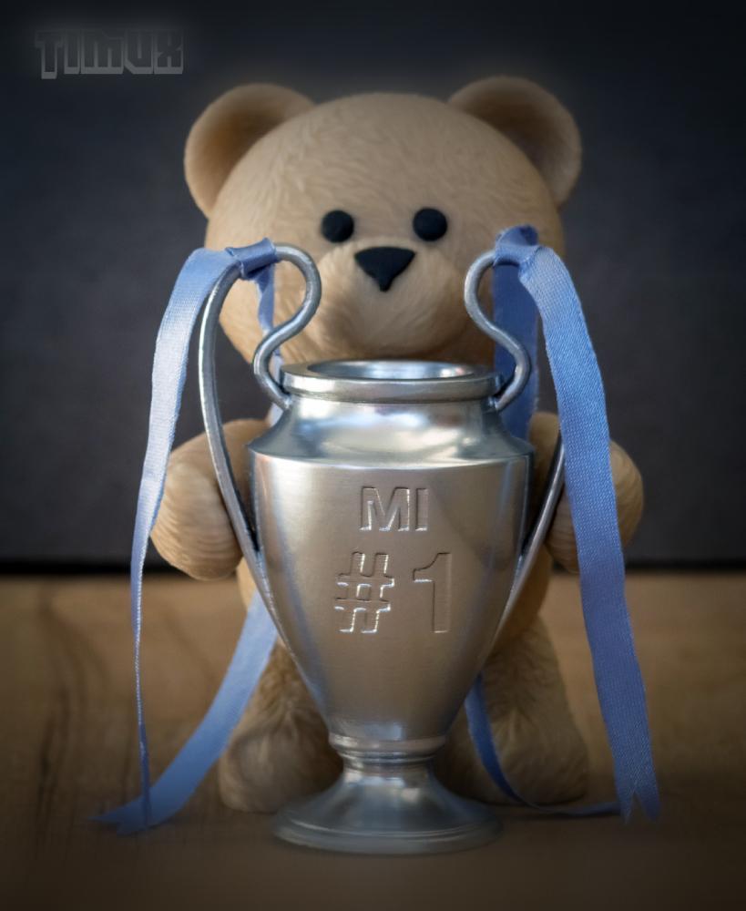 TEDDY BEAR WITH A CHAMPIONS LEAGUE TROPHY 3d model