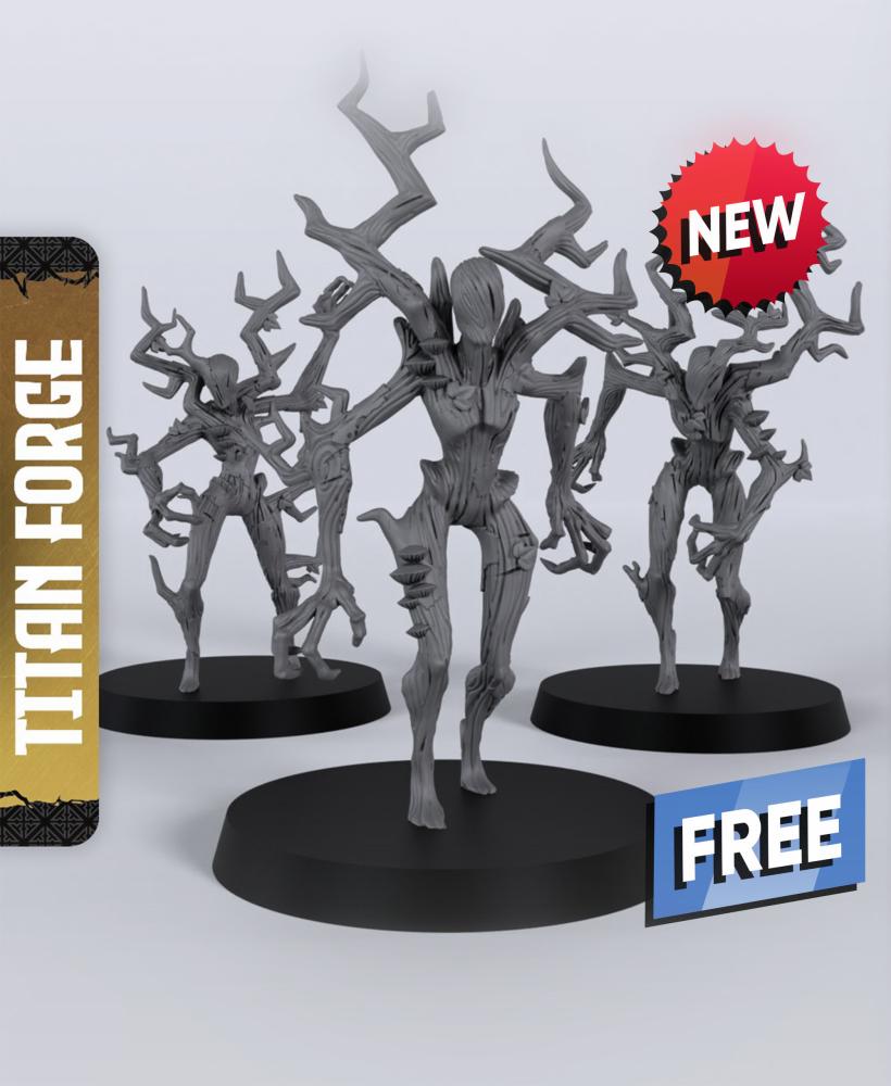 Dryads - With Free Dragon Warhammer - 5e DnD Inspired for RPG and Wargamers 3d model