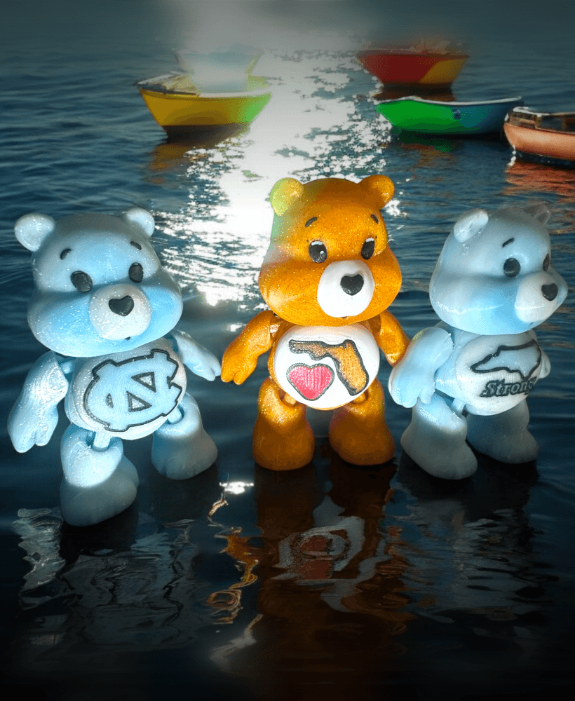 NORTH CAROLINA AND FLORIDA CARE BEARS FOR STORM RELIEF VICTIMS 3d model