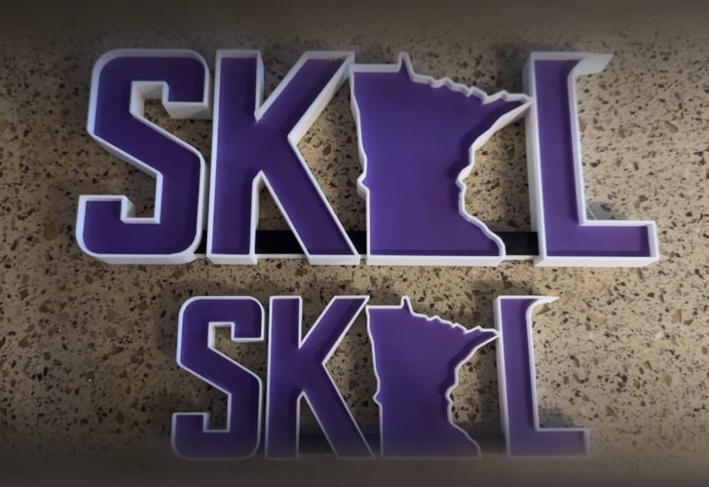 SKOL Vikings 3d model