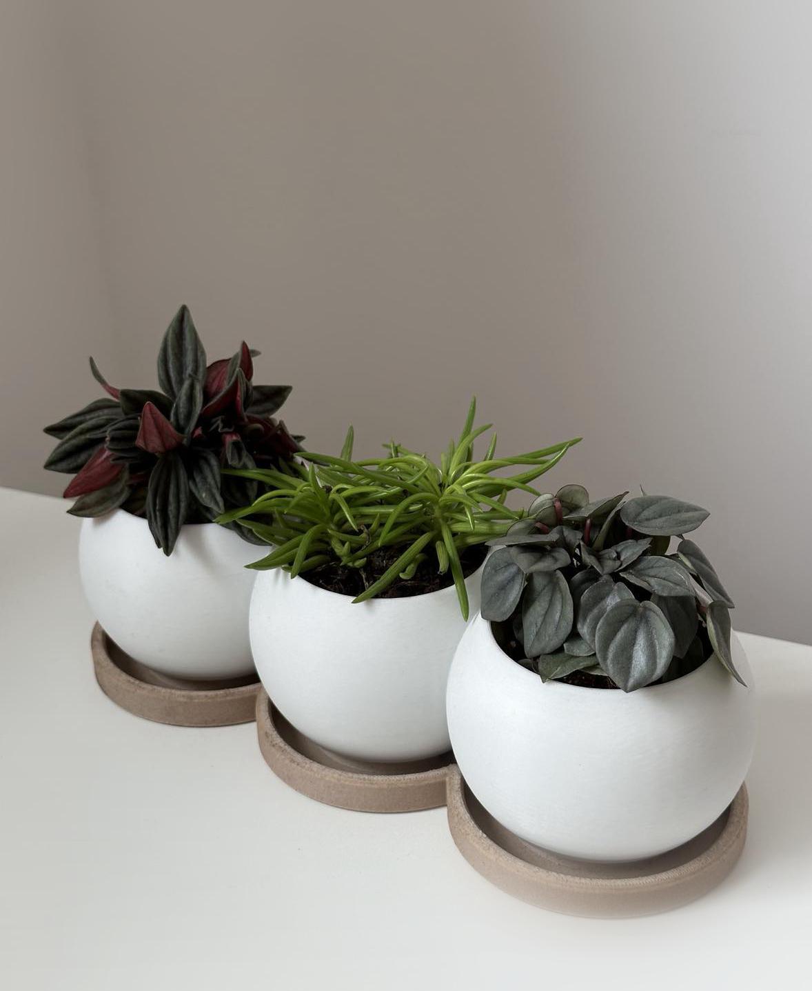 TRIO planter 3d model