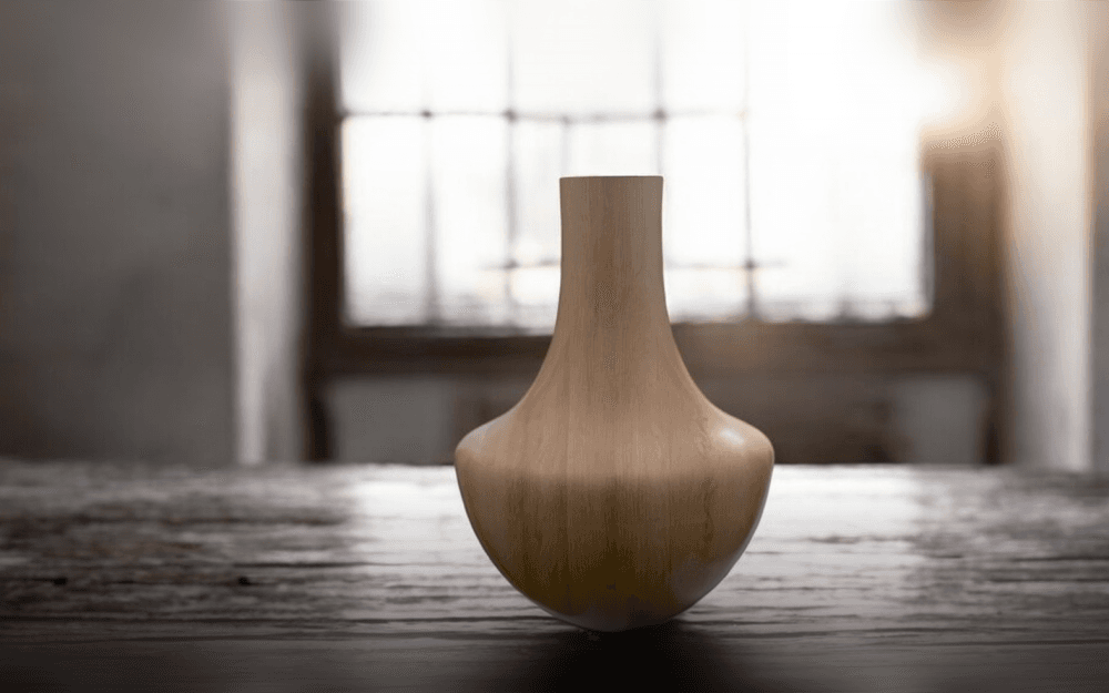 SIMPLE VASE 3d model