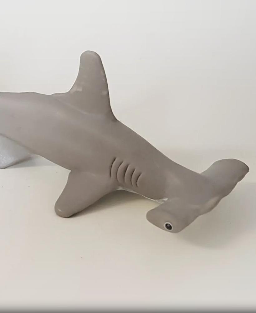 Hammerhead Shark 3d model