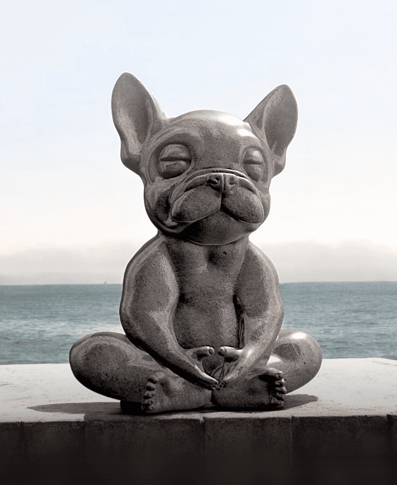 Frenchy Meditating 3d model