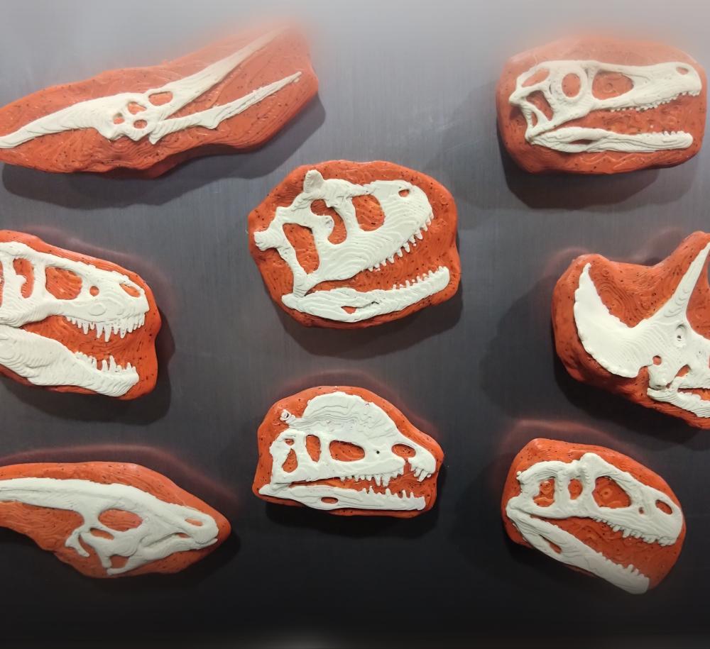 Dinosaur Fossil Skull Magnets 3d model