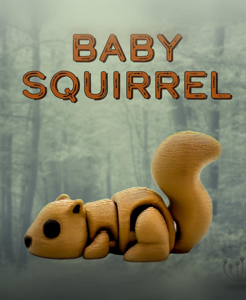 M3D - Baby Squirrel 3d model