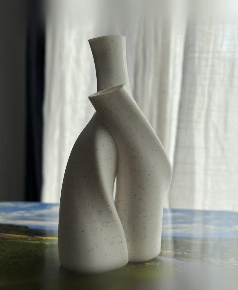 Contemporary Vase 3d model