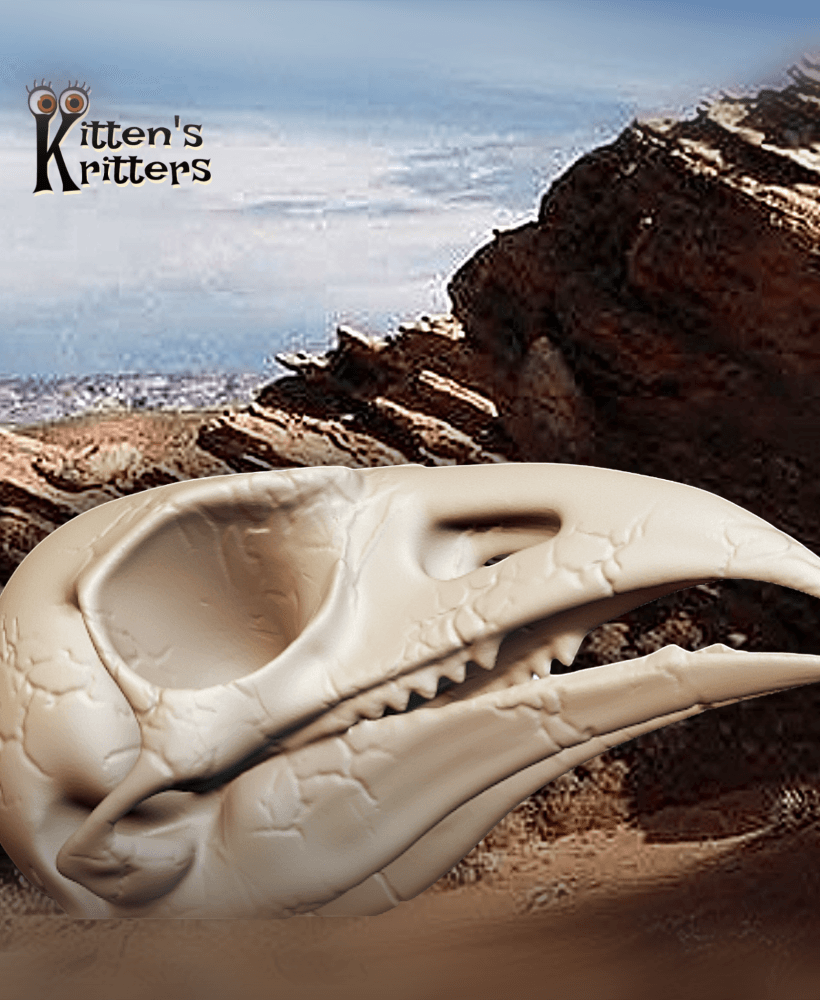 Desert Predator Skull Prehistoric Bird Skeleton Figurine 3d model