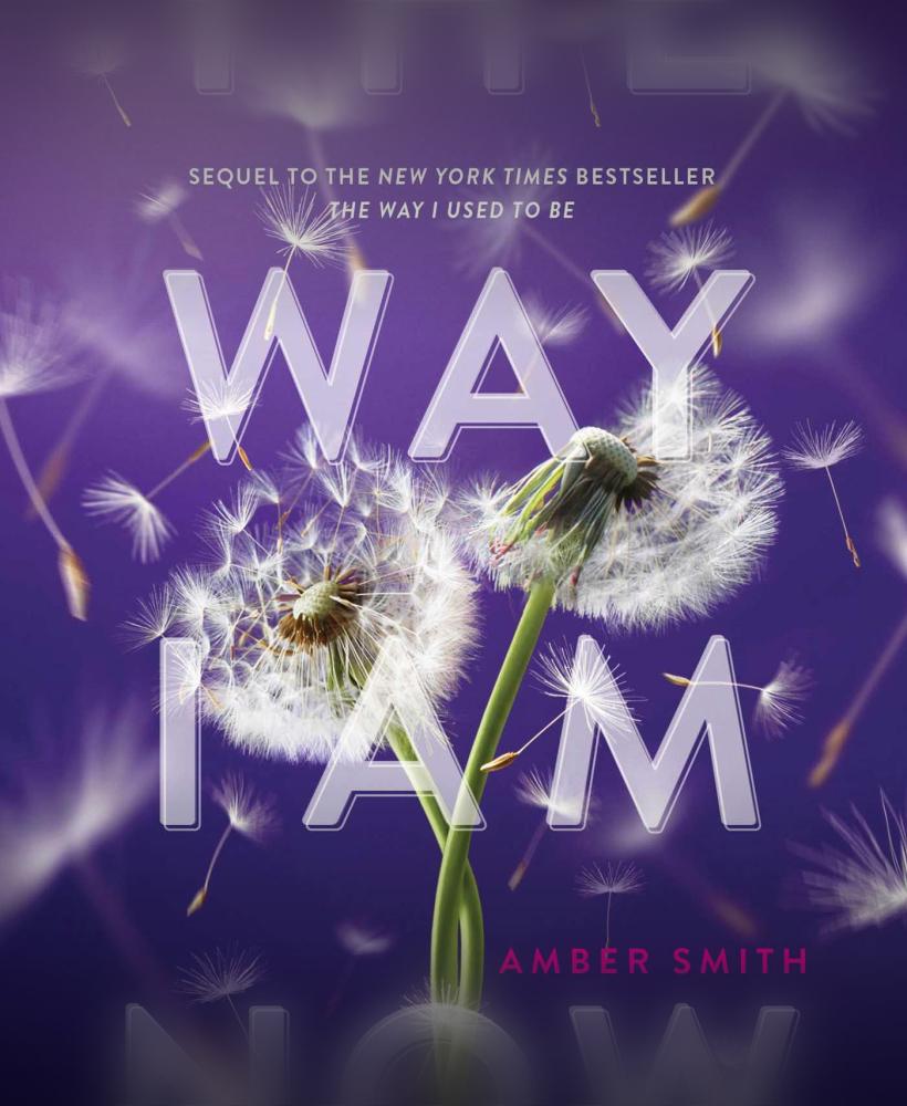 Download [PDF] The Way I Am Now (The Way I Used to Be, #2) by Amber   Smith 3d model