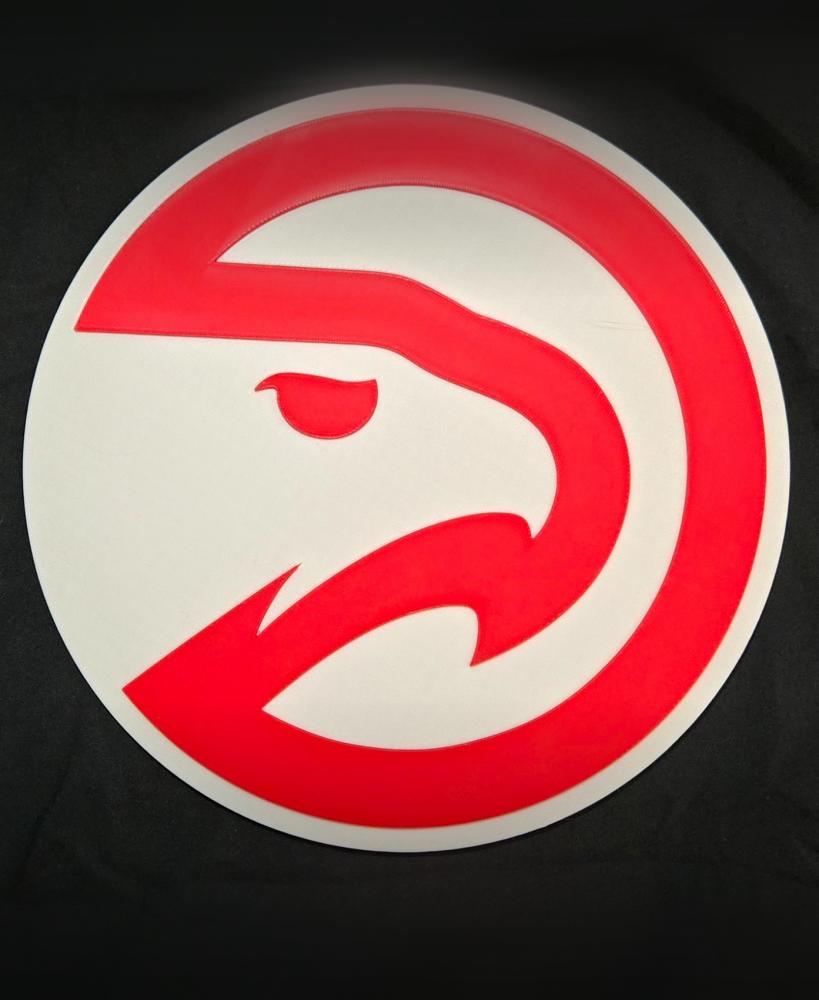 Atlanta Hawks 3d model