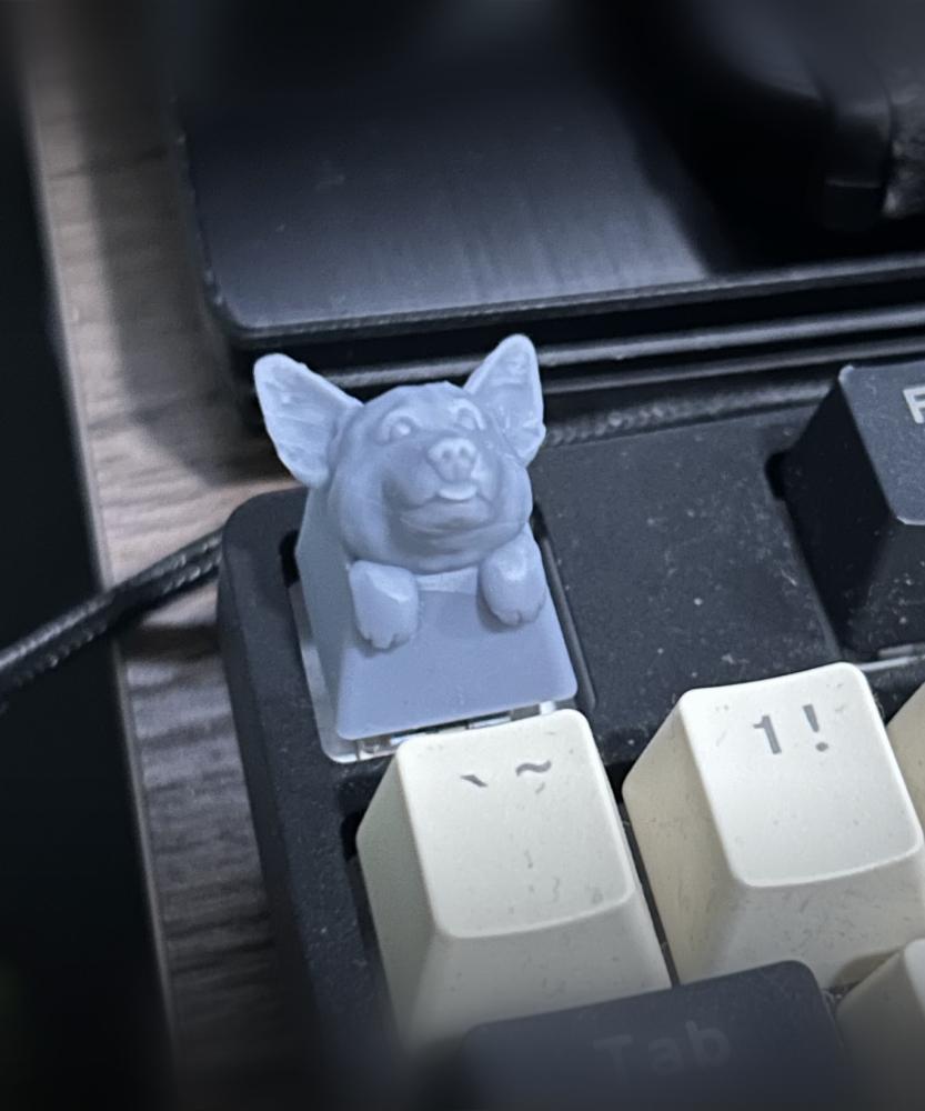 Corgi Keycap 3d model