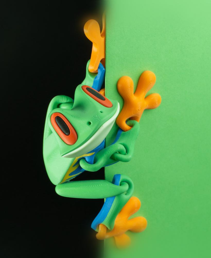 Blob Frog - Flexi Magnetic Fidget Art Toy 3d model
