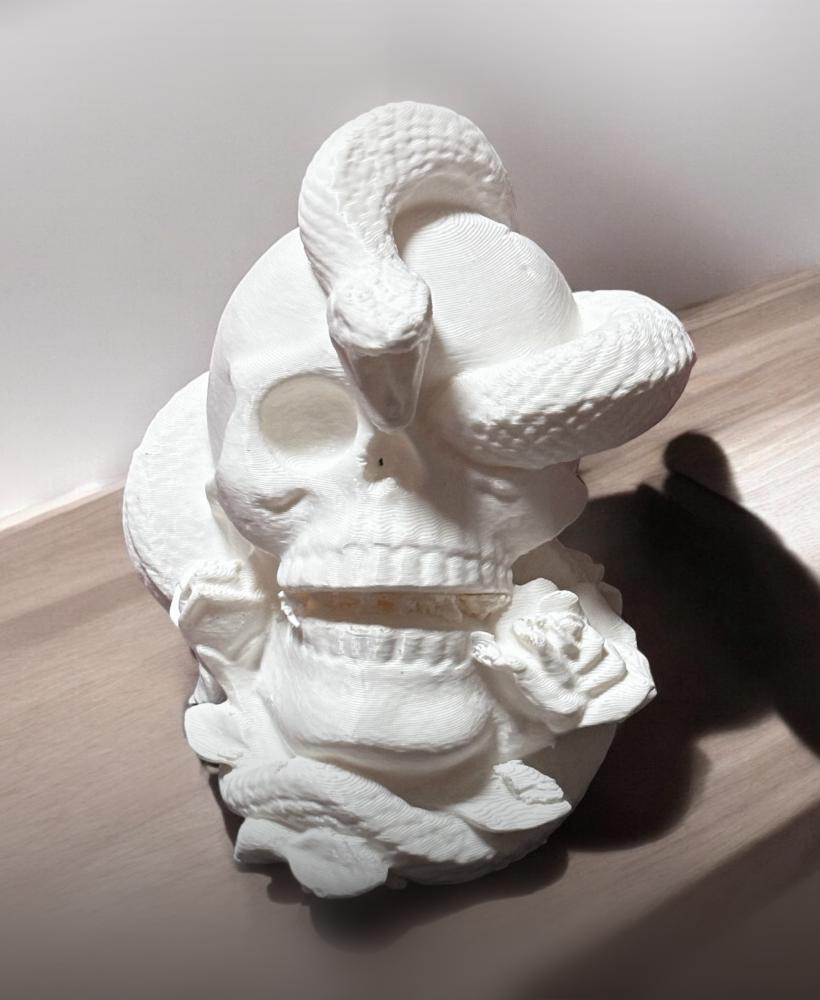 Skull with snakes 3d model